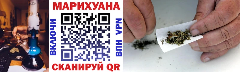 Каннабис план  Купить где  Курильск 